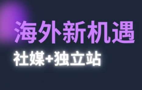 2025出海新机遇(社媒+独立站)，海外新机遇，实现独立站的高效运营与出海-云深网创社