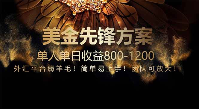（14761期）免费技术！小众赛道！一年布局抵三年努力，每日800+-云深网创社