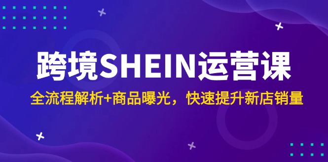 （14832期）跨境SHEIN运营课，全流程解析+商品曝光，快速提升新店销量-云深网创社