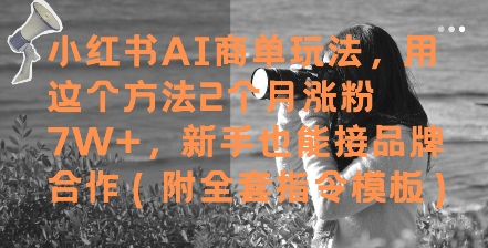 小红书AI商单玩法，用这个方法2个月涨粉7W+，新手也能接品牌合作(附全套指令模板)-云深网创社