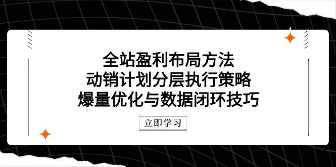 （14698期）全站盈利布局方法：动销计划分层执行策略，爆量优化与数据闭环技巧-云深网创社