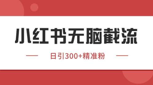 小红书只要你有同行就能获客，独家野路子获客玩法，暴力截流【揭秘】-云深网创社
