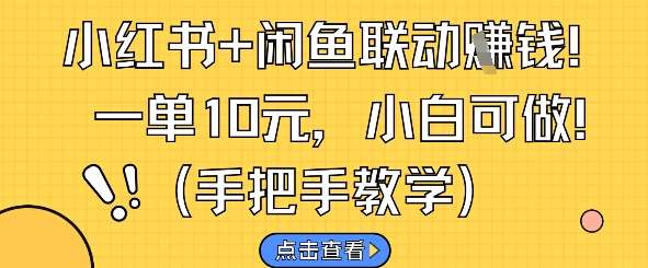 小红书+闲鱼联动挣钱，一单10元，小白可做-云深网创社