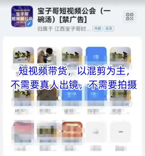 宝子哥头部团队短视频带货，以混剪为主，不需要真人出镜，不需要拍摄-云深网创社