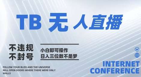 2025年淘宝无人直播带货10.0   全新技术，不违规，不封号，纯小白操作，日入几张【揭秘】-云深网创社