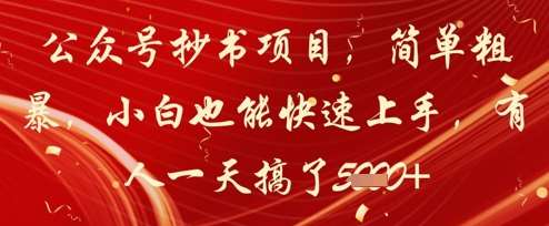 公众号抄书项目，简单粗暴，小白也能快速上手，有人一天搞了1k+-云深网创社