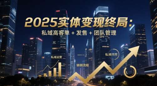 2025实体变现终局：私域高客单+发售+团队管理-云深网创社