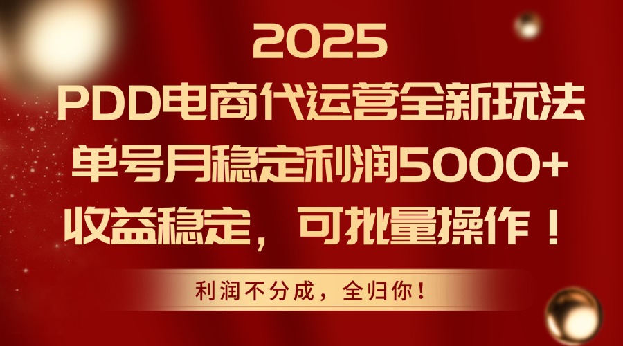 （14839期）2025PDD电商代运营全新玩法，单号月稳定利润5000+，收益稳定，可批量操作-云深网创社
