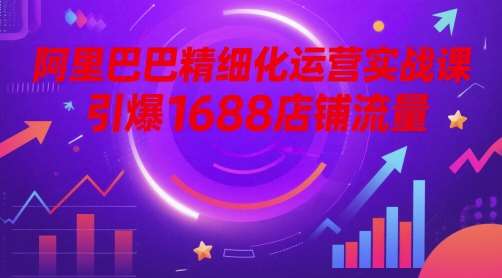 阿里巴巴精细化运营实战课，引爆1688店铺流量-云深网创社