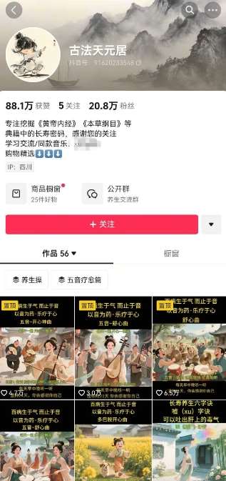 图片[2]-古法五音养生教程，五音疗愈的视频的制作方法，2-4小时就能学会，作者10天涨粉10W-云深网创社