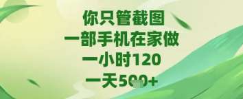 你只管截图，一部手机在家做，苹果安卓都可以，一天5张+【揭秘】-云深网创社