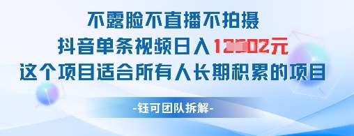 不露脸不直播不拍摄抖音单条视频日入1k+这个项目适合所有人长期积累的项目-云深网创社