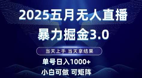 2025五月无人直播暴力掘金3.0，当天上手，当天拿结果，单号日入1k+小白可做可矩阵【揭秘】-云深网创社