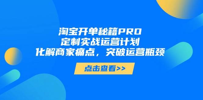 （14642期）淘宝开单秘籍PRO，定制实战运营计划，化解商家痛点，突破运营瓶颈-云深网创社