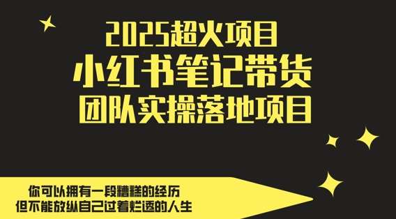 2025超火项目，副业最佳选择，小红书笔记带货团队实操落地项目，，轻松日入5张-云深网创社