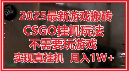 2025最新游戏搬砖，CSGO挂G，不需要玩游戏，实现真挂G，月入1W+【揭秘】-云深网创社