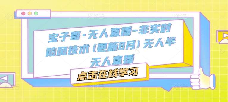 宝子哥·无人直播-非实时防风技术(更新25年5月)无人半无人直播-云深网创社