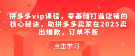 拼多多vip课程，零基础打造店铺的核心秘诀，助拼多多卖家在2025卖出爆款，订单不断-云深网创社