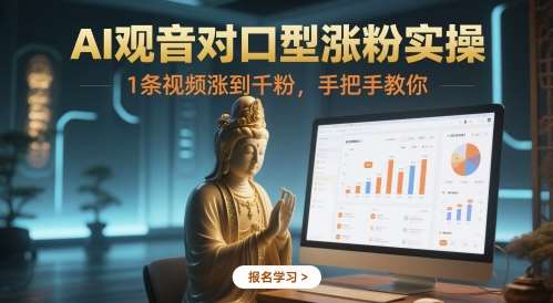AI观音对口型涨粉实操，1条视频涨到千粉，手把手教你-云深网创社