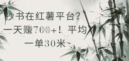 抄书在小红薯平台？平均一单30米，一天收益几张！-云深网创社