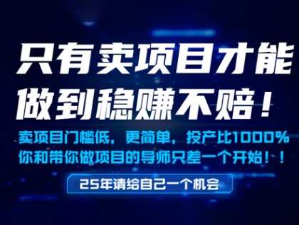 只有卖项目才能做到稳挣不赔，门槛低，更简单，你也可以年入百个W【揭秘】-云深网创社