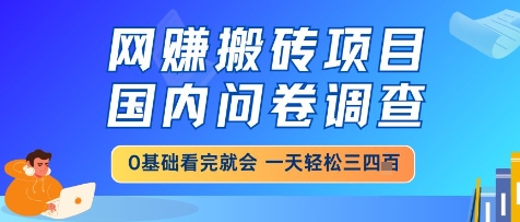 网创搬砖项目，国内问卷调查，小白轻松上手，一天三四张的也不难，干就完了【揭秘】-云深网创社