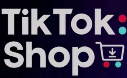 TikTokShop跨境电商0-1实战，手把手教你低成本启动海外市场（更新）-云深网创社