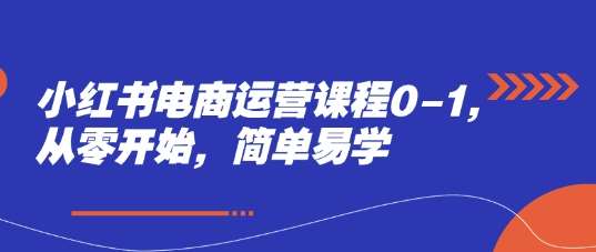 小红书电商运营课程0-1，从零开始，简单易学-云深网创社