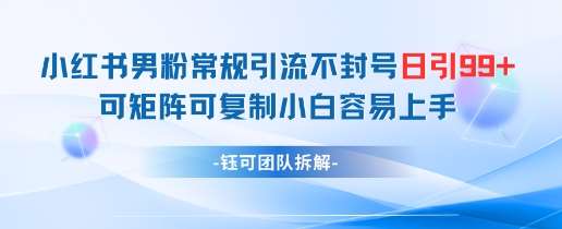 小红书男粉常规引流不封号日引99+变现简单 可矩阵可复制小白容易上手-云深网创社
