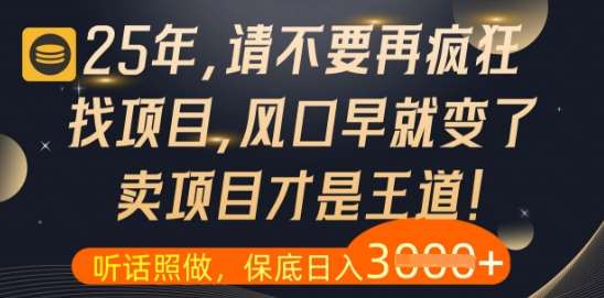什么？25年你还在疯狂找项目做，醒醒吧，看完这些你全都懂了【揭秘】-云深网创社