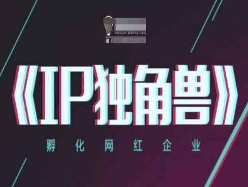 IP独角兽，孵化网红企业，ip教程-云深网创社