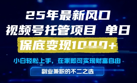 25年最新风口，视频号托管项目，单日保底变现1k+，手把手教学【揭秘】-云深网创社