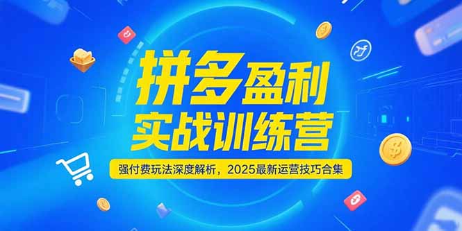 （15183期）拼多多盈利实战训练营，强付费玩法深度解析，2025运营技巧合集-更新6月-云深网创社