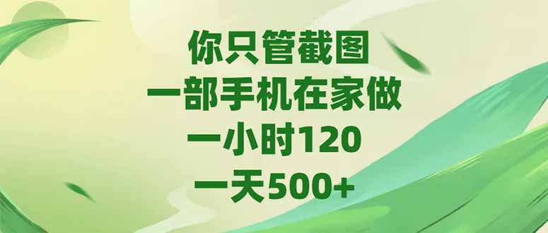 （15039期）你只管截图，一部手机在家做，一小时120，-天500+-云深网创社
