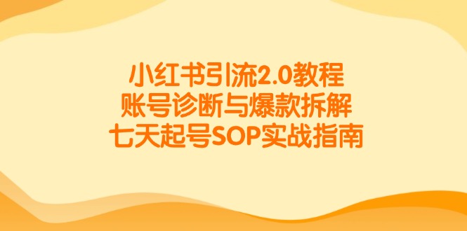 （14981期）小红书引流2.0教程，账号诊断与爆款拆解，七天起号SOP实战指南-云深网创社