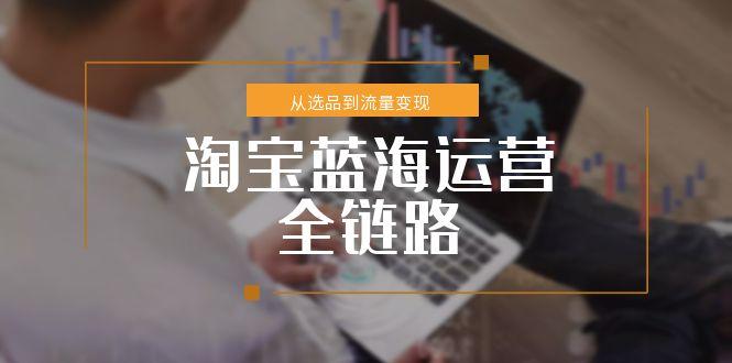 （15160期）淘宝蓝海运营全链路，从选品到流量变现，小类目突围完整方案-云深网创社