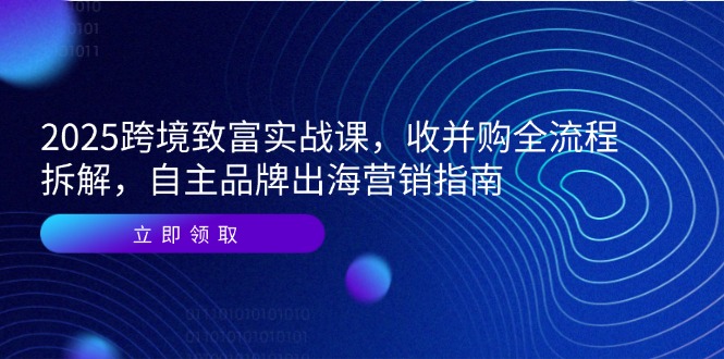 （14975期）2025跨境致富实战课，收并购全流程拆解，自主品牌出海营销指南-云深网创社