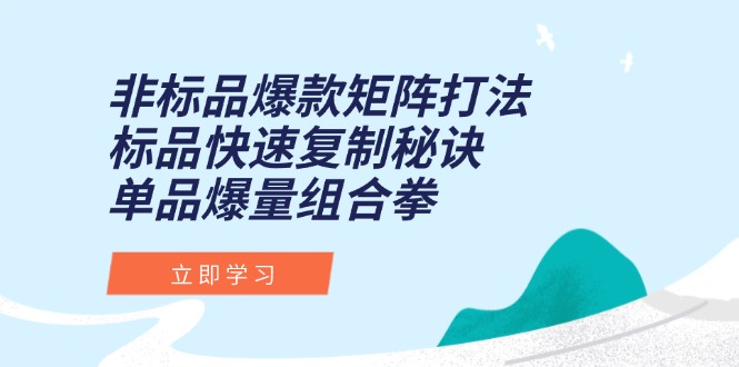 （15068期）非标品爆款矩阵打法，标品快速复制秘诀，单品爆量组合拳-云深网创社