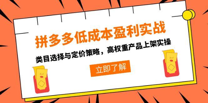 （15143期）拼多多低成本盈利实战，类目选择与定价策略，高权重产品上架实操-云深网创社