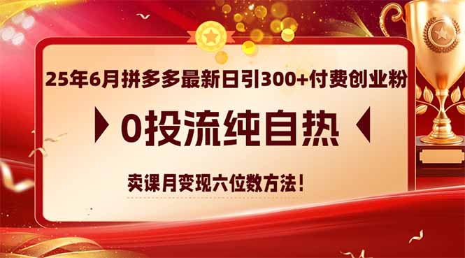 （14989期）25年6月拼多多最新日引300+付费创业粉，0投流纯自热 卖课月变现六位数方法-云深网创社