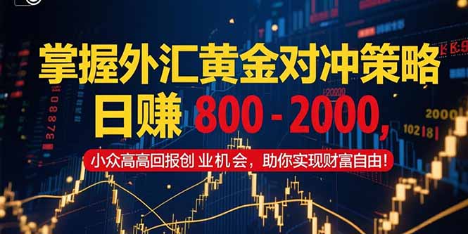 （15198期）掌握外汇黄金对冲策略，日赚 800 – 2000，小众高回报创业机会，助你实…-云深网创社