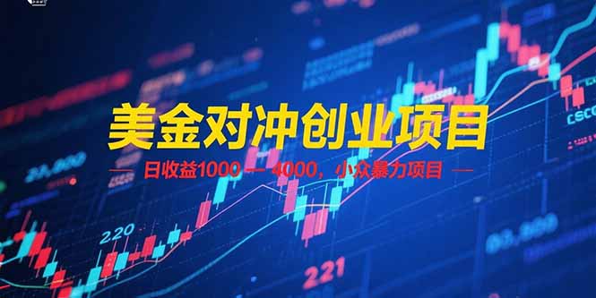 （15187期）美金对冲创业项目，日收益 1000 – 4000，小众暴力项目-云深网创社