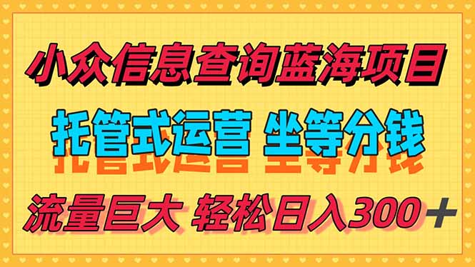 （15216期）稳定日入300＋，小众信息查询蓝海项目，全程懒人式托管，解放你的时间-云深网创社