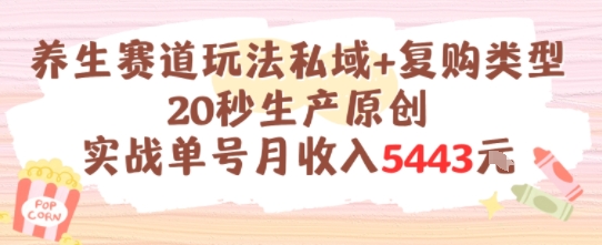 养生赛道玩法私域+复购类型，20秒生产原创实战单号月收入5k+-云深网创社