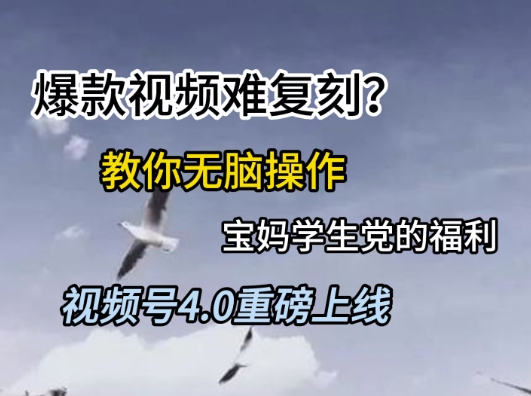 视频号4.0重磅上线，爆款视频难复刻？教你无脑操作宝妈学生党的福利【揭秘】-云深网创社
