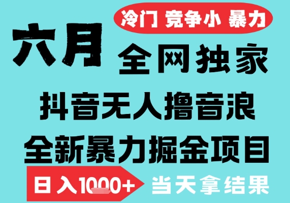 2025年6月高爆抖音无人直播最新撸音浪掘金项目，无脑日入1k+，低门槛小白可做，可矩阵放大【揭秘】-云深网创社