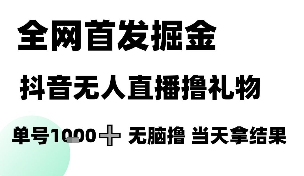 全网首发掘金抖音无人直播撸礼物，单号1k +无脑撸，当天拿结果【揭秘】-云深网创社