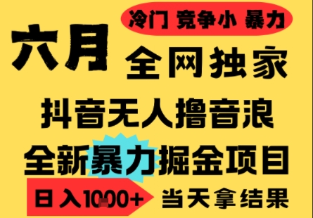 25年6月高爆抖音无人直播最新撸音浪掘金项目，小白可做，无脑日入1k+，门槛低可批量矩阵【揭秘】-云深网创社