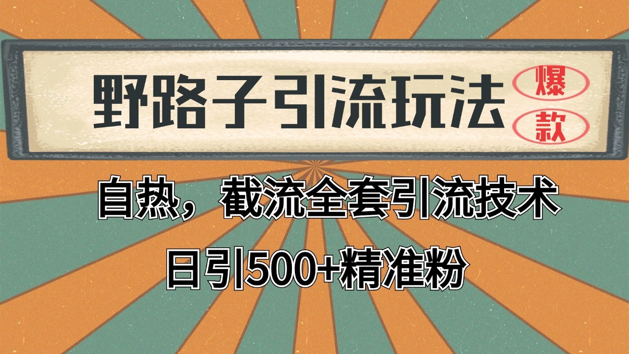 2024首发野路子引流玩法截流自热全平台打法，全自动引流【日引2000+精准客户】-云深网创社