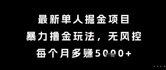 最新单人掘金项目，暴力撸金玩法，无风控，每个月多挣5k+【揭秘】-云深网创社